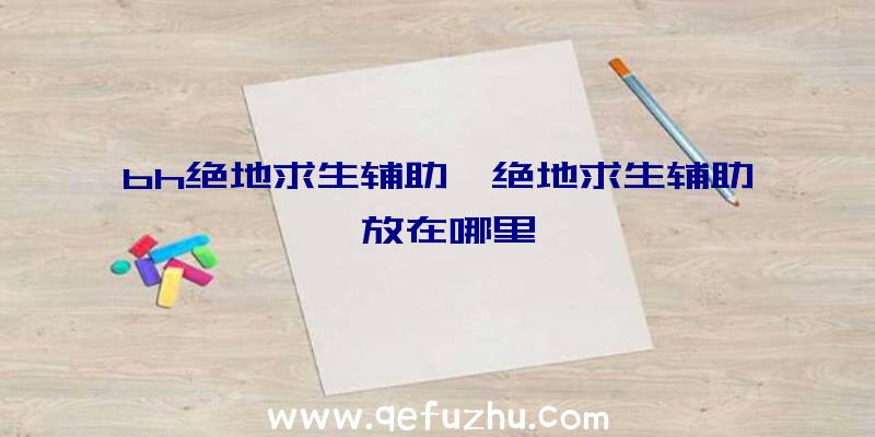 bh绝地求生辅助、绝地求生辅助