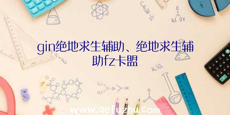gin绝地求生辅助、绝地求生辅助fz卡盟