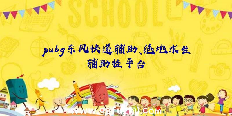 pubg东风快递辅助、绝地求生辅助挂平台