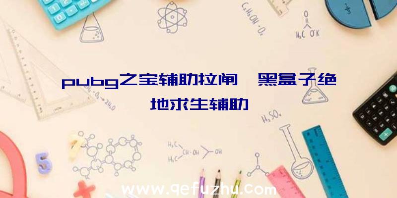 pubg之宝辅助拉闸、黑盒子绝地求生辅助