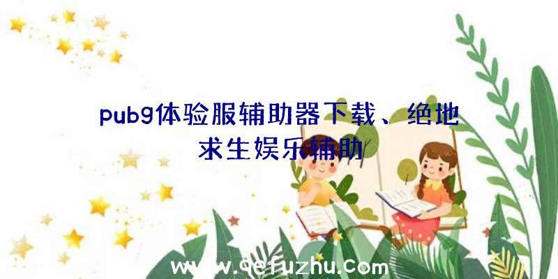 pubg体验服辅助器下载、绝地求生娱乐辅助