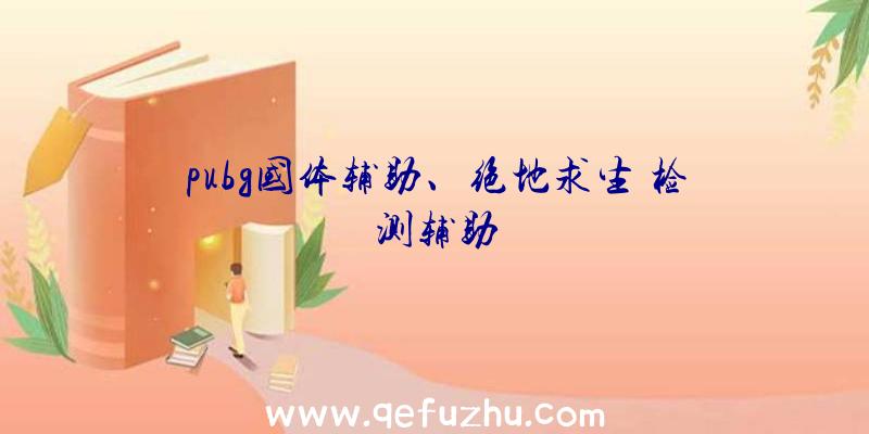 pubg国体辅助、绝地求生