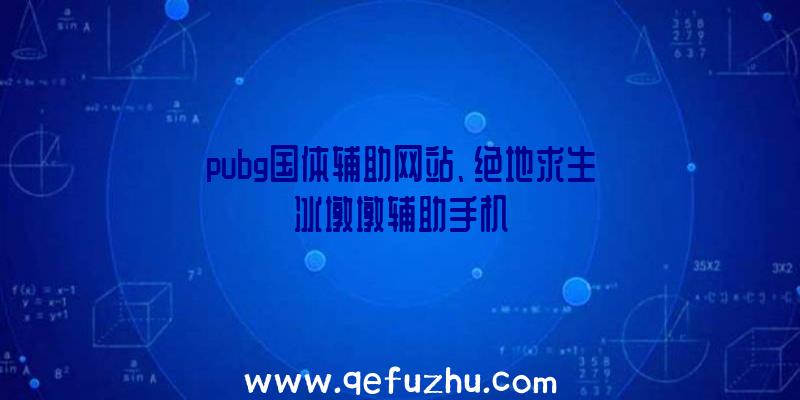 pubg国体辅助网站、绝地求生冰墩墩辅助手机