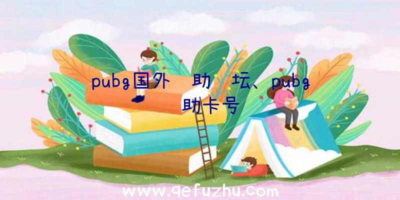 pubg国外辅助论坛、pubg辅助卡号