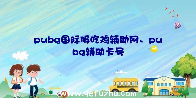 pubg国际服吃鸡辅助网、pubg辅助卡号