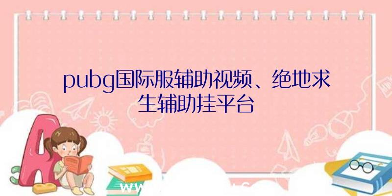 pubg国际服辅助视频、绝地求生辅助挂平台