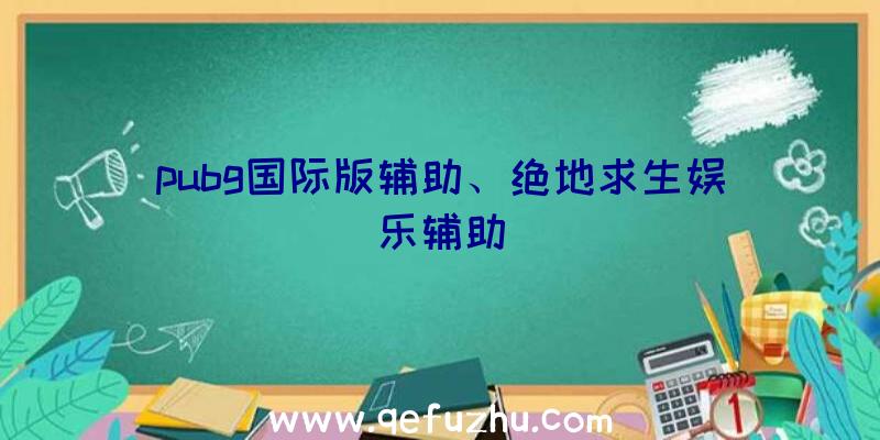 pubg国际版辅助、绝地求生娱乐辅助