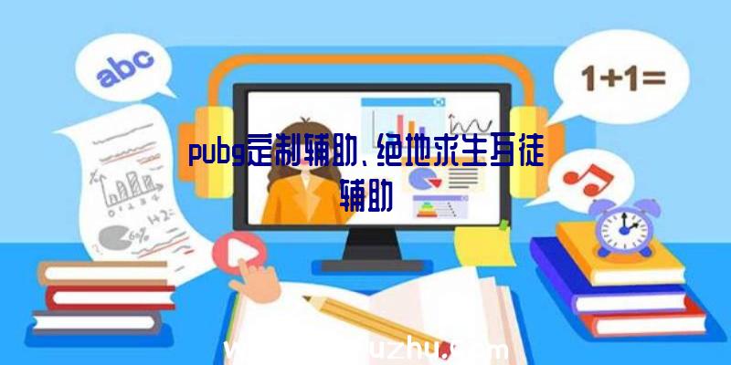 pubg定制辅助、绝地求生歹徒辅助