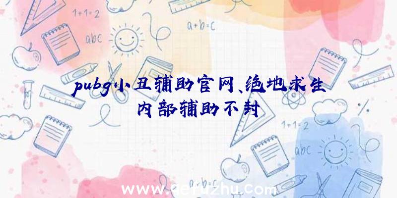 pubg小丑辅助官网、绝地求生内部辅助不封