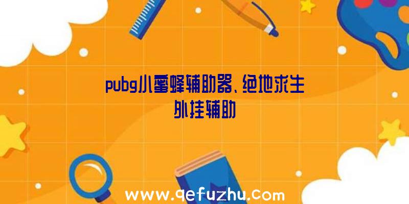 pubg小蜜蜂辅助器、绝地求生外挂辅助