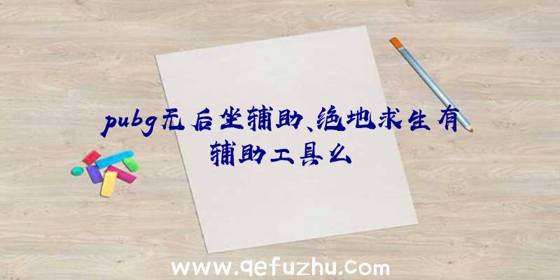 pubg无后坐辅助、绝地求生有辅助工具么