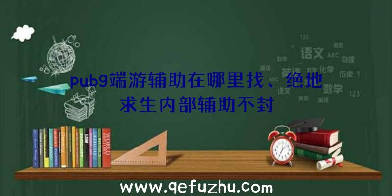 pubg端游辅助在哪里找、绝地求生内部辅助不封