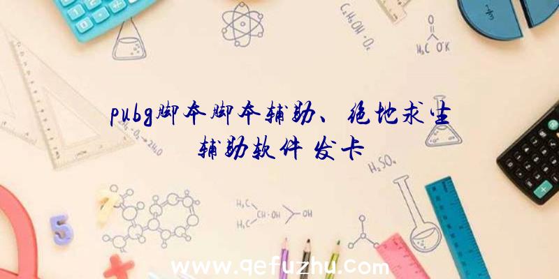 pubg脚本脚本辅助、绝地求生辅助软件
