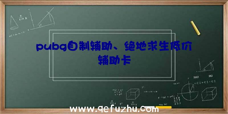 pubg自制辅助、绝地求生低价辅助卡