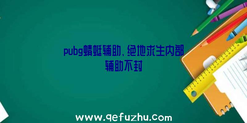 pubg蜻蜓辅助、绝地求生内部辅助不封