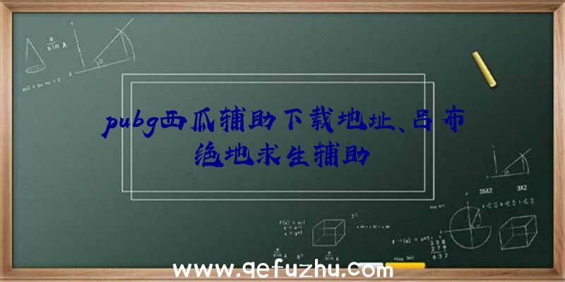 pubg西瓜辅助下载地址、吕布绝地求生辅助