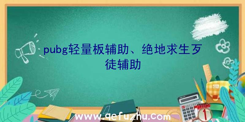pubg轻量板辅助、绝地求生歹徒辅助
