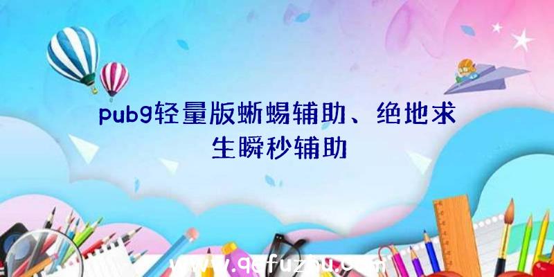 pubg轻量版蜥蜴辅助、绝地求生瞬秒辅助