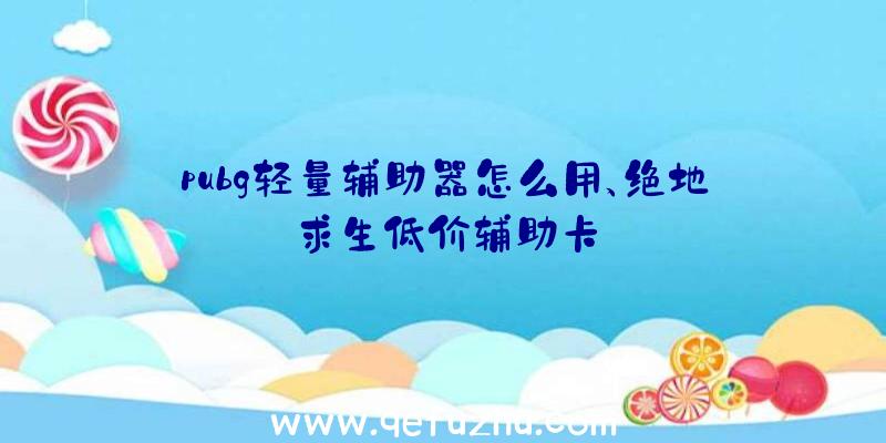 pubg轻量辅助器怎么用、绝地求生低价辅助卡