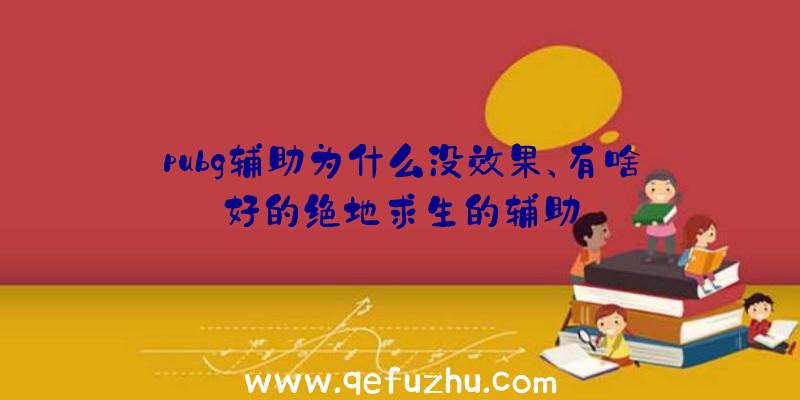 pubg辅助为什么没效果、有啥好的绝地求生的辅助