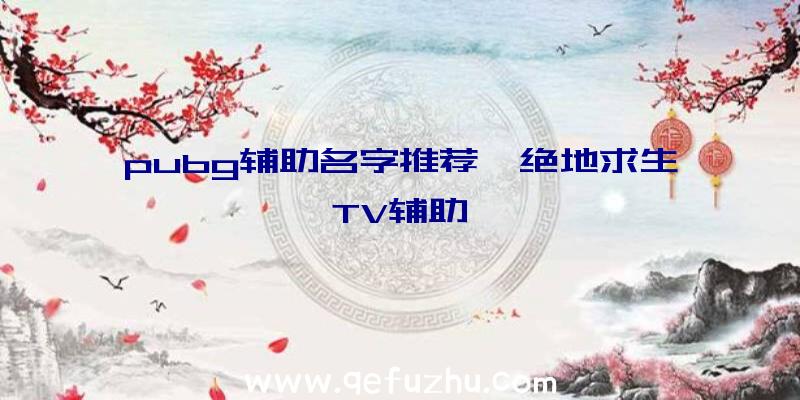 pubg辅助名字推荐、绝地求生TV辅助