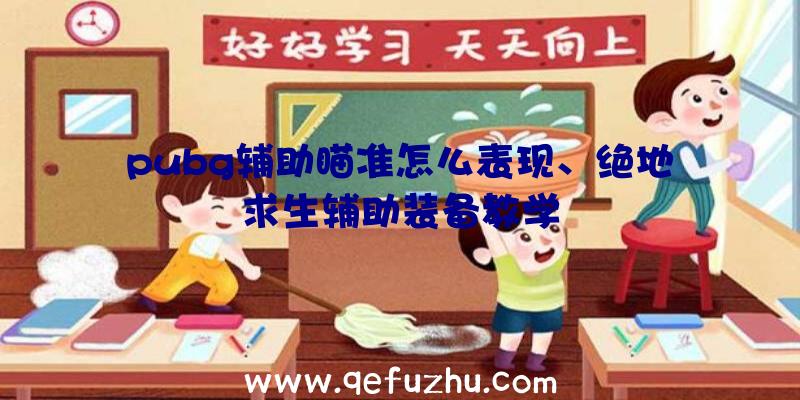 pubg辅助瞄准怎么表现、绝地求生辅助装备教学