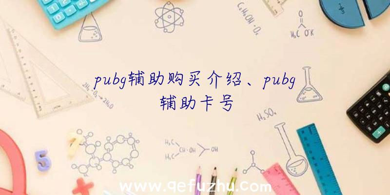 pubg辅助购买介绍、pubg辅助卡号