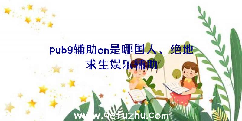 pubg辅助on是哪国人、绝地求生娱乐辅助