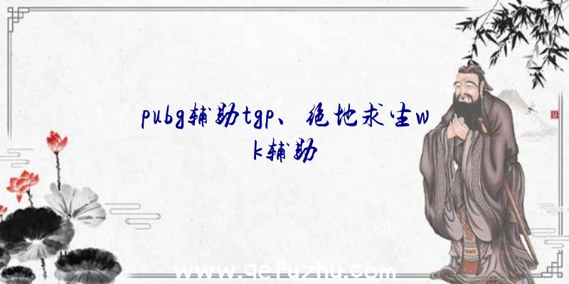 pubg辅助tgp、绝地求生wk辅助
