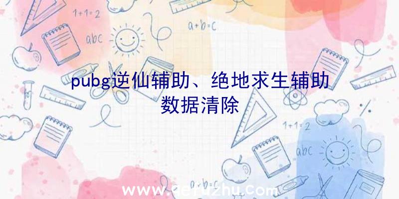 pubg逆仙辅助、绝地求生辅助数据清除