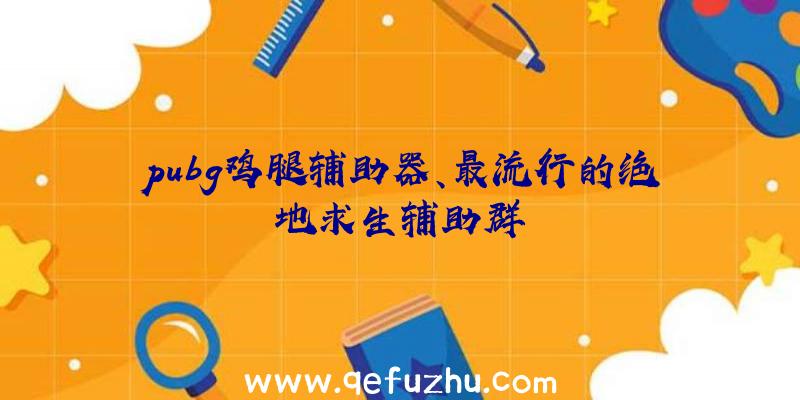 pubg鸡腿辅助器、最流行的绝地求生辅助群