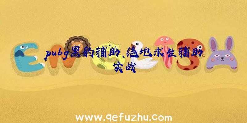 pubg黑豹辅助、绝地求生辅助实战