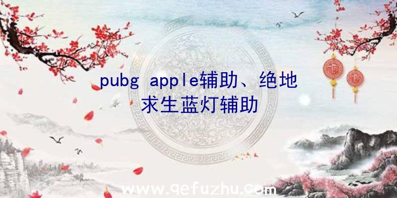 pubg