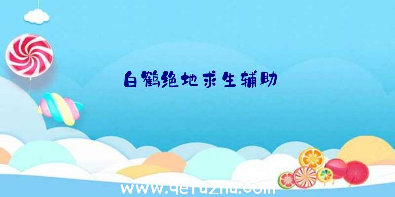 白鹤绝地求生辅助