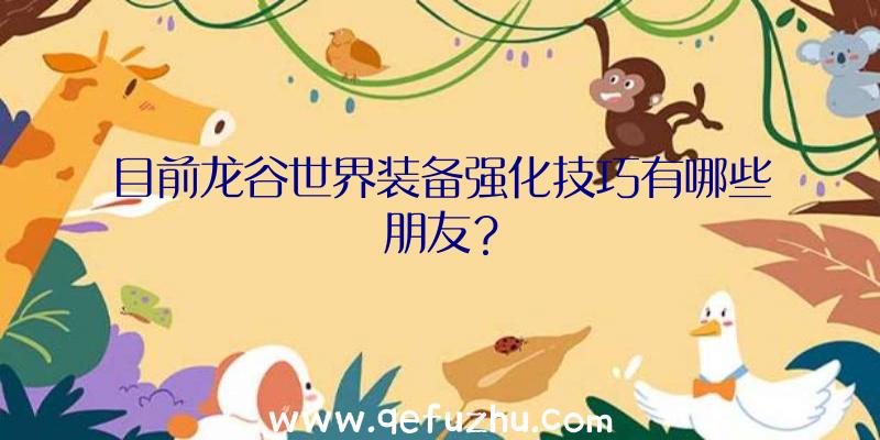 目前龙谷世界装备强化技巧有哪些朋友？