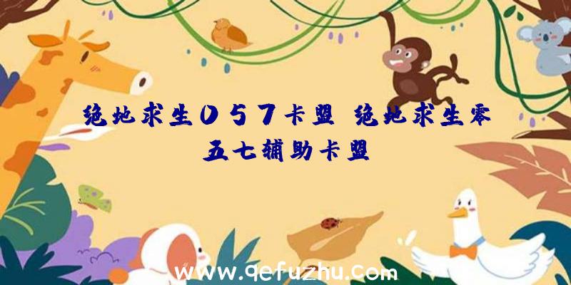 绝地求生057卡盟、绝地求生零五七辅助卡盟
