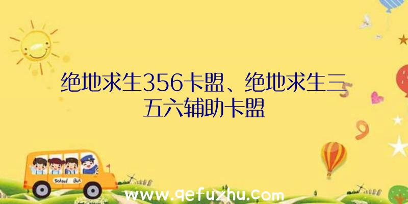 绝地求生356卡盟、绝地求生三五六辅助卡盟