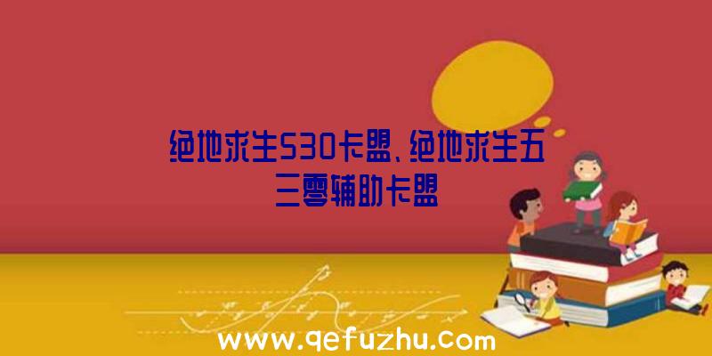 绝地求生530卡盟、绝地求生五三零辅助卡盟