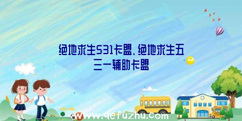 绝地求生531卡盟、绝地求生五三一辅助卡盟