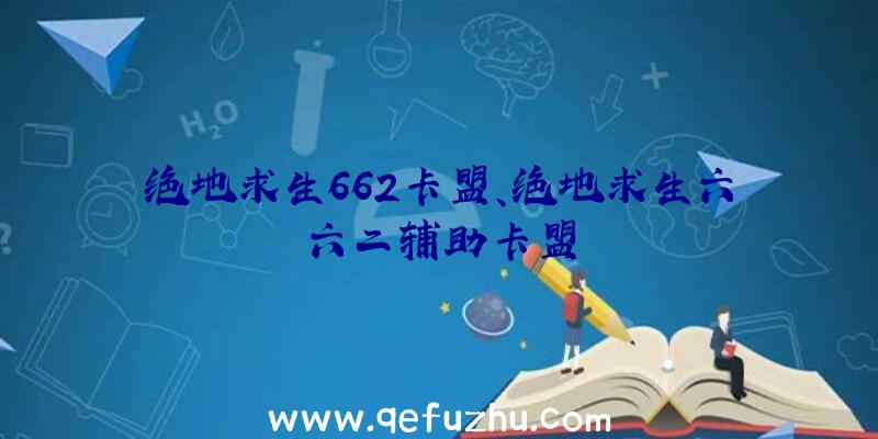 绝地求生662卡盟、绝地求生六六二辅助卡盟
