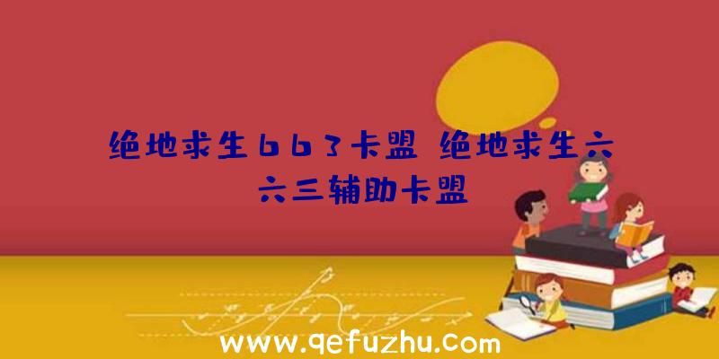 绝地求生663卡盟、绝地求生六六三辅助卡盟
