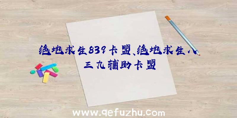 绝地求生839卡盟、绝地求生八三九辅助卡盟