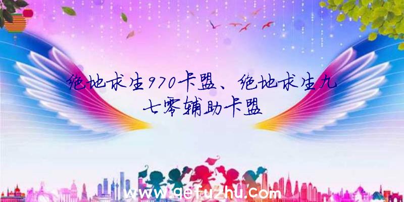 绝地求生970卡盟、绝地求生九七零辅助卡盟