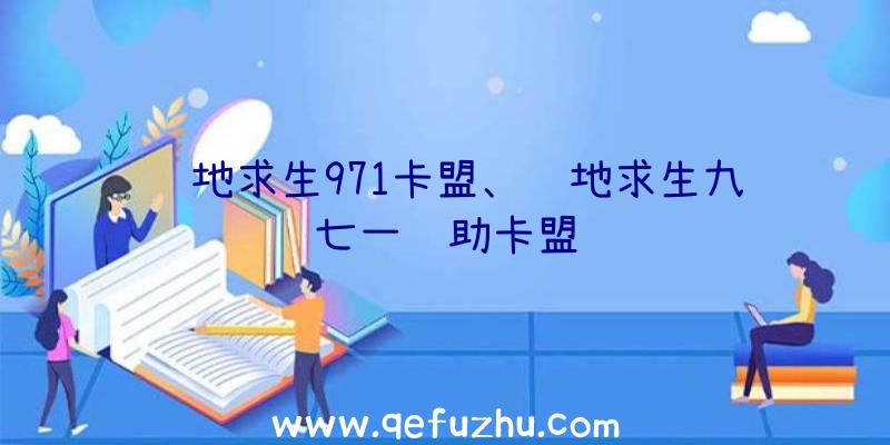 绝地求生971卡盟、绝地求生九七一辅助卡盟