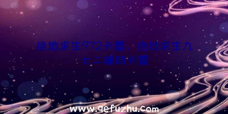 绝地求生972卡盟、绝地求生九七二辅助卡盟