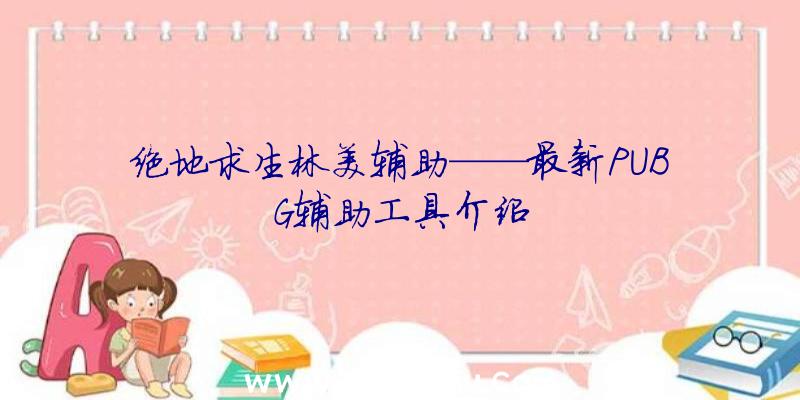 绝地求生林美辅助——最新PUBG辅助工具介绍