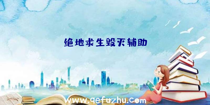 绝地求生毁灭辅助