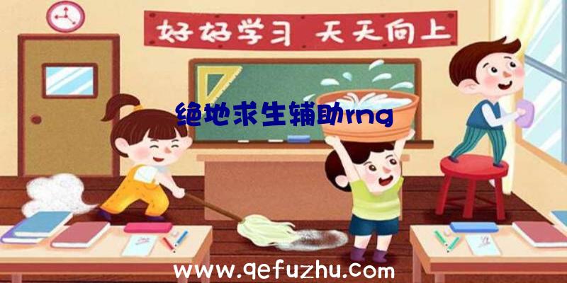 绝地求生辅助rng