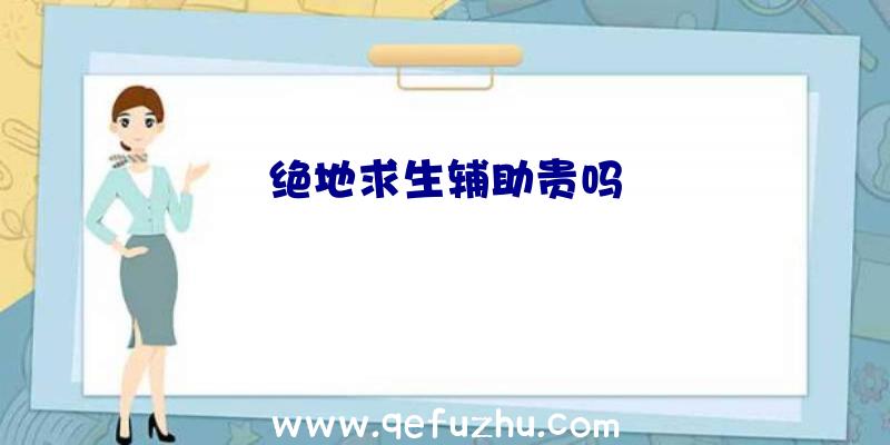 绝地求生辅助贵吗