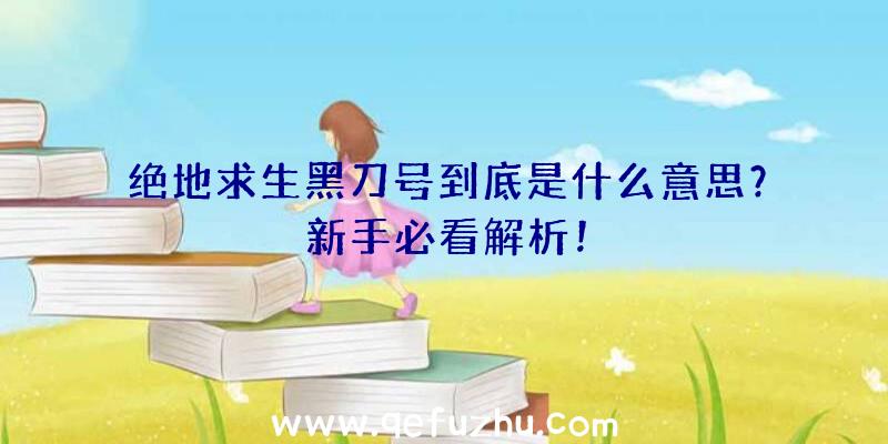 绝地求生黑刀号到底是什么意思？新手必看解析！